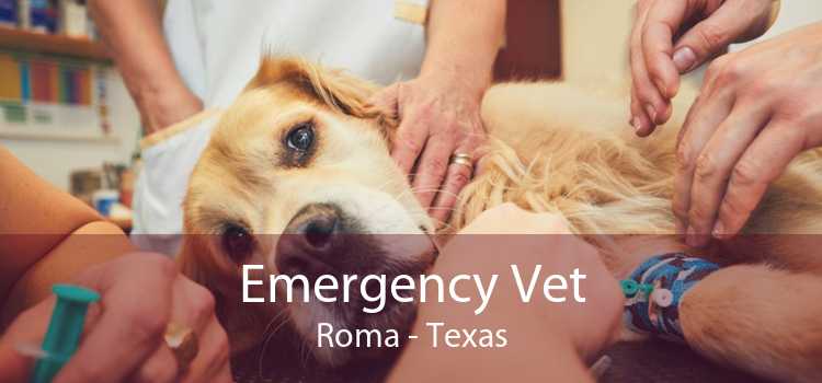 Emergency Vet Roma - Texas