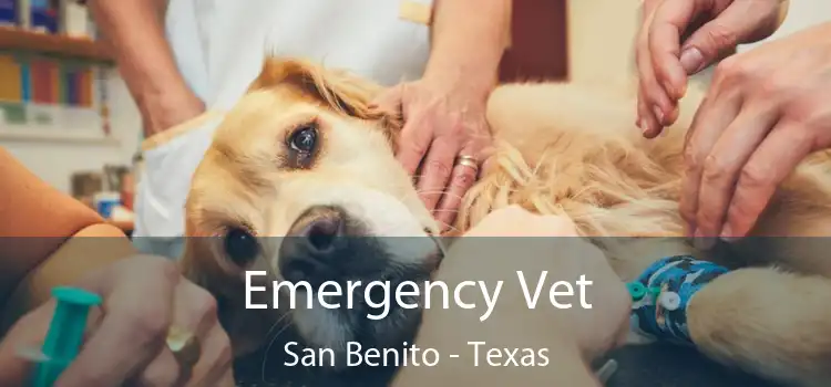 Emergency Vet San Benito - Texas