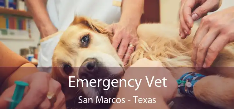 Emergency Vet San Marcos - Texas