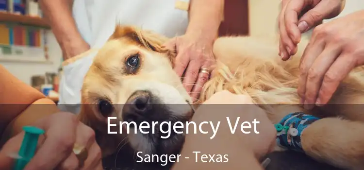 Emergency Vet Sanger - Texas