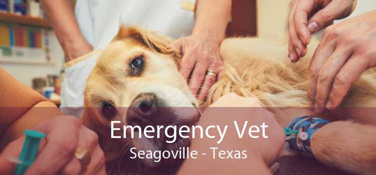 Emergency Vet Seagoville - Texas