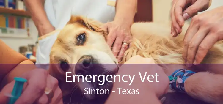 Emergency Vet Sinton - Texas