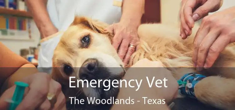 Emergency Vet The Woodlands - Texas