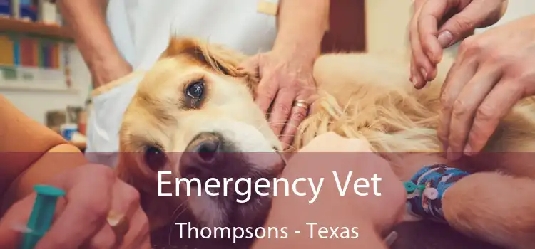 Emergency Vet Thompsons - Texas