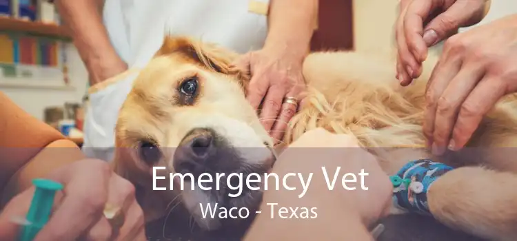 Emergency Vet Waco - Texas