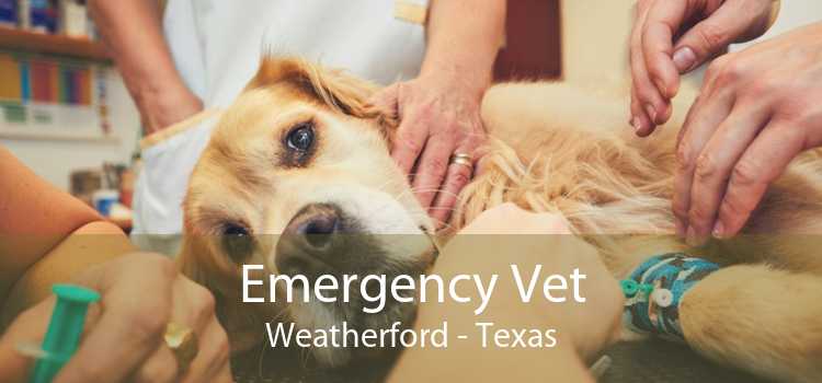 Emergency Vet Weatherford - Texas