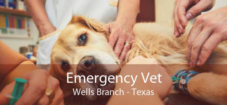 Emergency Vet Wells Branch - Texas