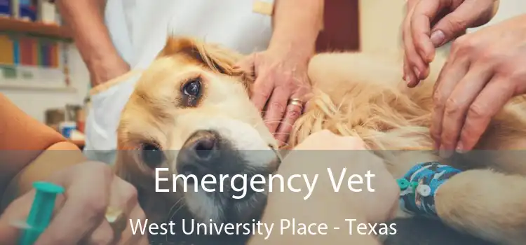 Emergency Vet West University Place - Texas