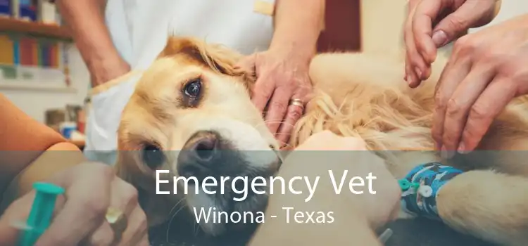 Emergency Vet Winona - Texas