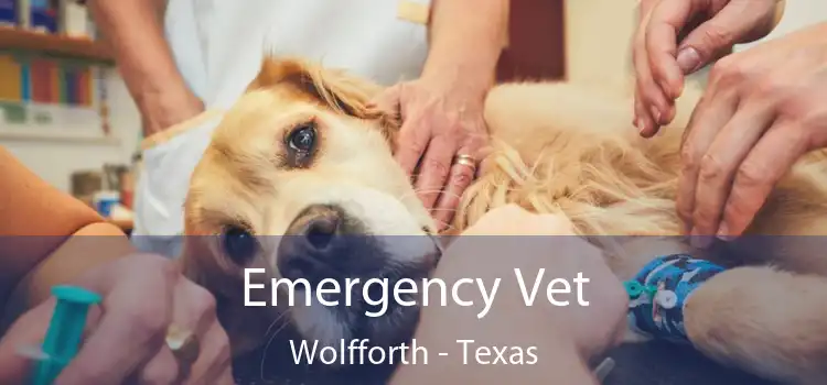 Emergency Vet Wolfforth - Texas