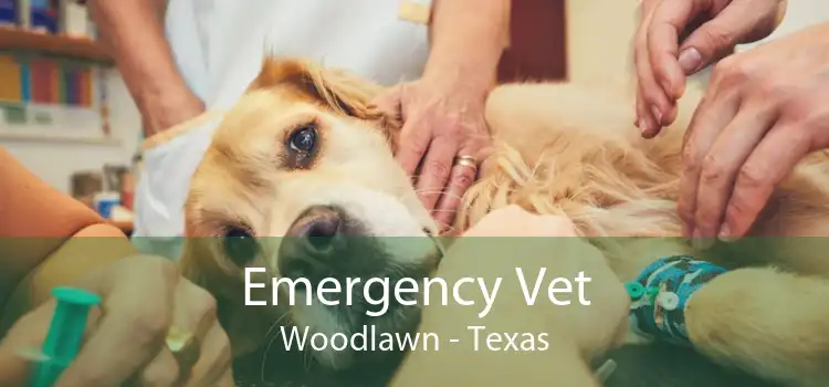 Emergency Vet Woodlawn - Texas