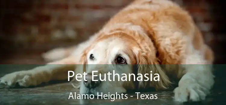 Pet Euthanasia Alamo Heights - Texas