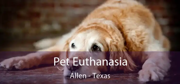 Pet Euthanasia Allen - Texas