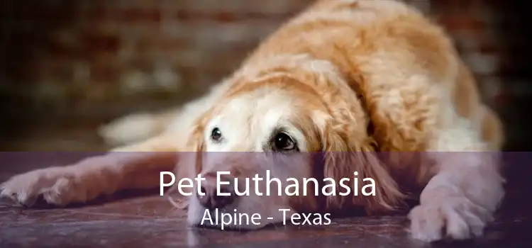 Pet Euthanasia Alpine - Texas