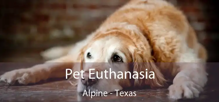 Pet Euthanasia Alpine - Texas