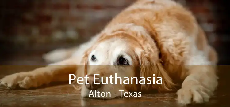 Pet Euthanasia Alton - Texas