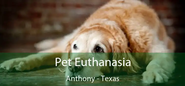 Pet Euthanasia Anthony - Texas