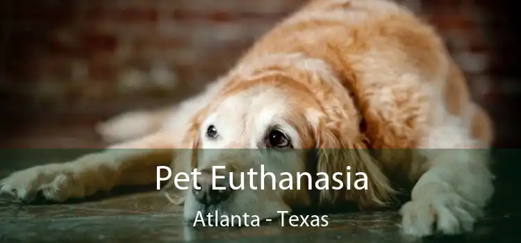 Pet Euthanasia Atlanta - Texas