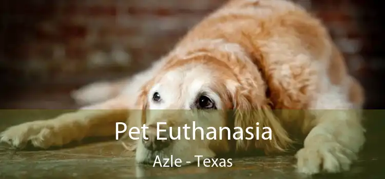 Pet Euthanasia Azle - Texas