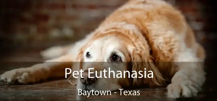 Pet Euthanasia Baytown - Texas