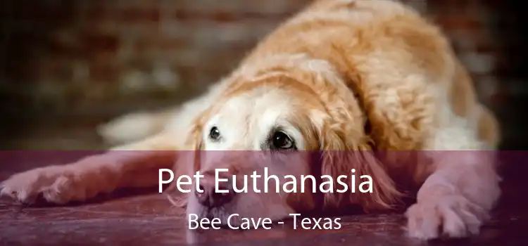 Pet Euthanasia Bee Cave - Texas