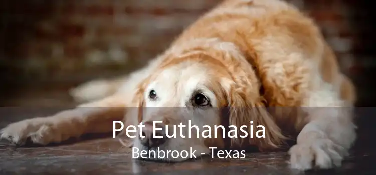 Pet Euthanasia Benbrook - Texas