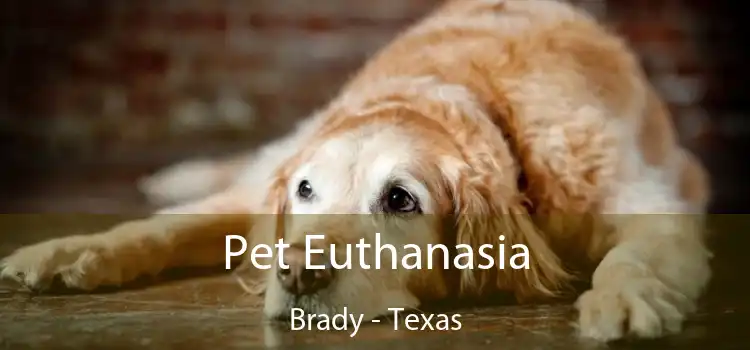 Pet Euthanasia Brady - Texas