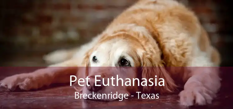 Pet Euthanasia Breckenridge - Texas
