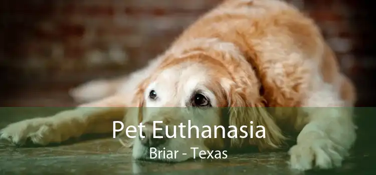 Pet Euthanasia Briar - Texas