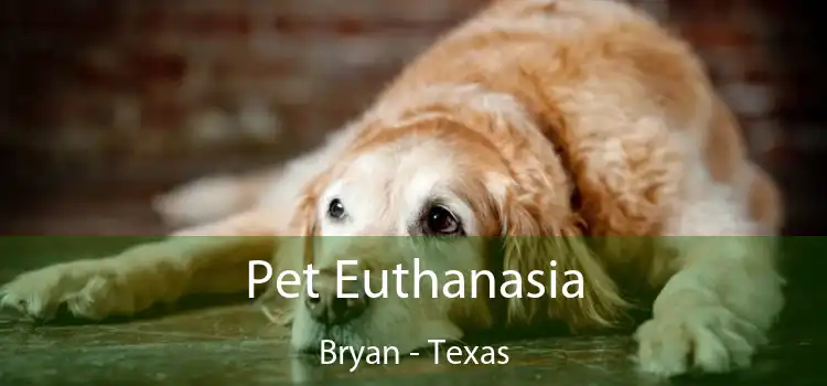 Pet Euthanasia Bryan - Texas