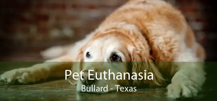 Pet Euthanasia Bullard - Texas