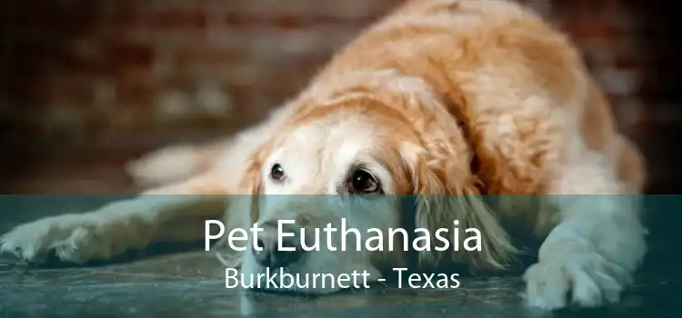 Pet Euthanasia Burkburnett - Texas