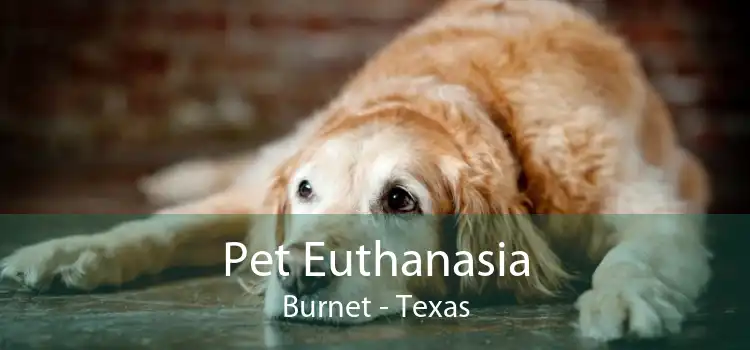 Pet Euthanasia Burnet - Texas