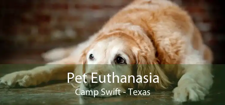 Pet Euthanasia Camp Swift - Texas