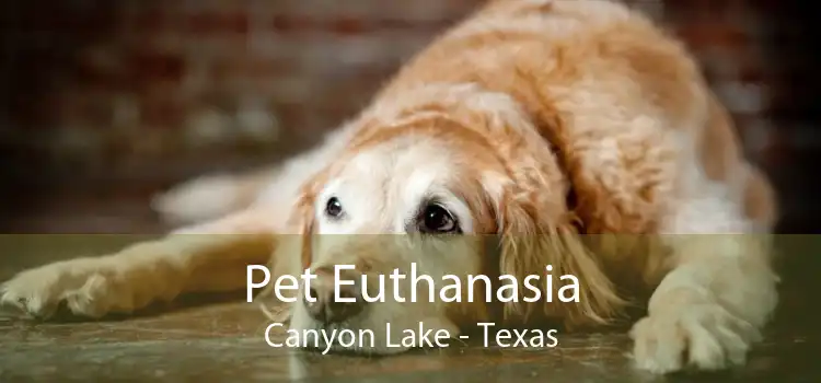 Pet Euthanasia Canyon Lake - Texas