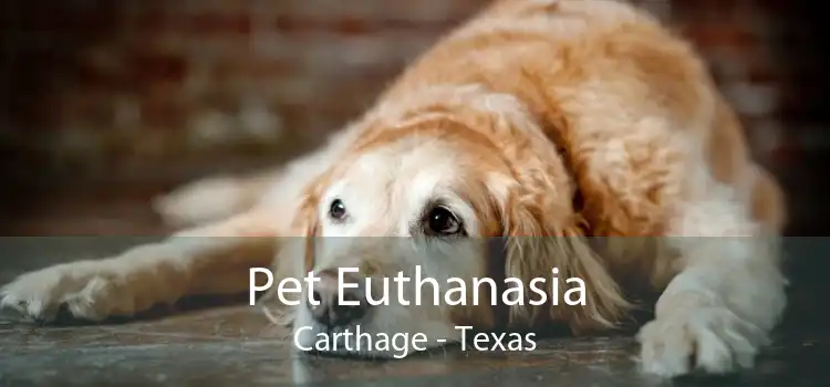 Pet Euthanasia Carthage - Texas