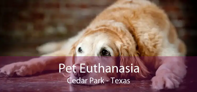 Pet Euthanasia Cedar Park - Texas