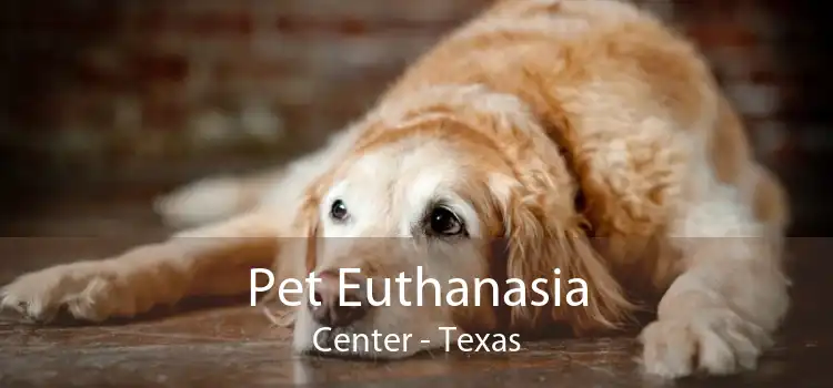 Pet Euthanasia Center - Texas