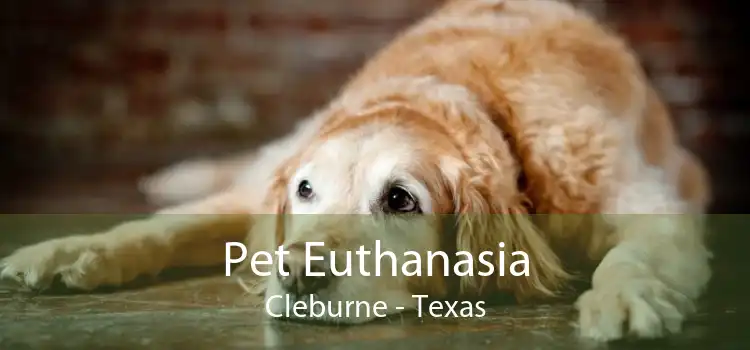 Pet Euthanasia Cleburne - Texas