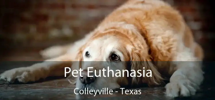 Pet Euthanasia Colleyville - Texas