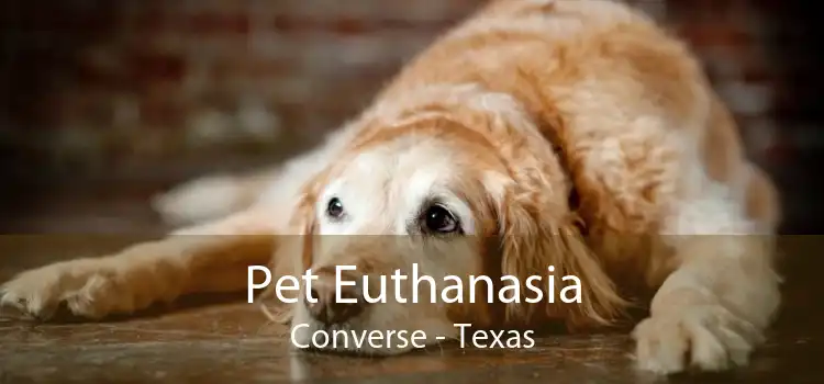 Pet Euthanasia Converse - Texas