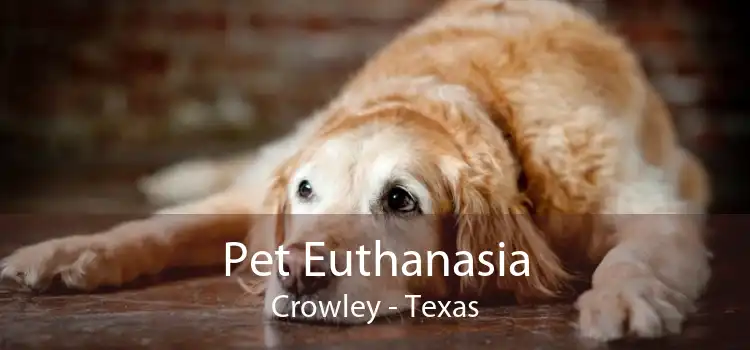 Pet Euthanasia Crowley - Texas