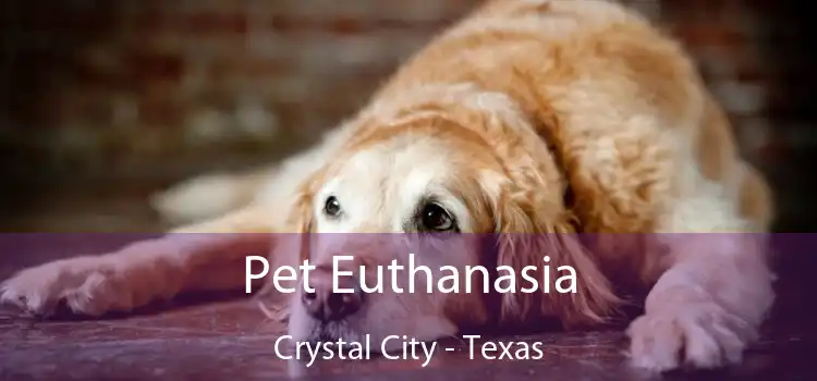 Pet Euthanasia Crystal City - Texas