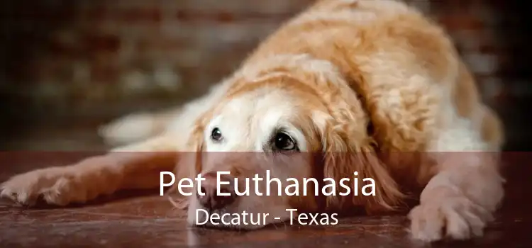 Pet Euthanasia Decatur - Texas
