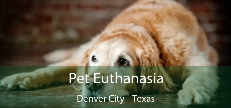 Pet Euthanasia Denver City - Texas