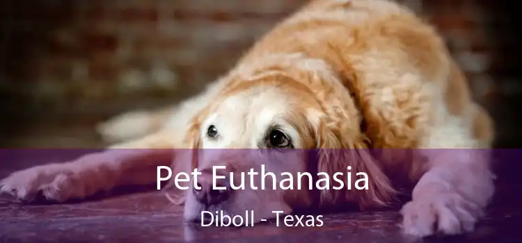 Pet Euthanasia Diboll - Texas