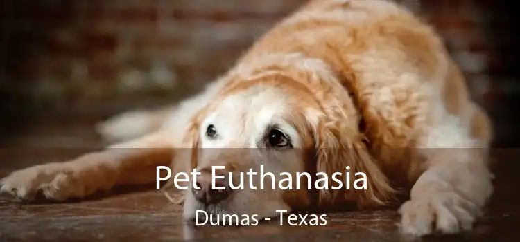 Pet Euthanasia Dumas - Texas