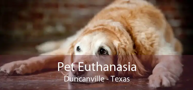 Pet Euthanasia Duncanville - Texas