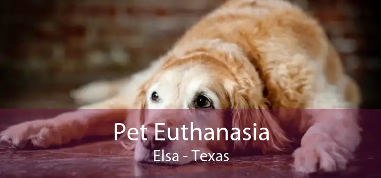 Pet Euthanasia Elsa - Texas