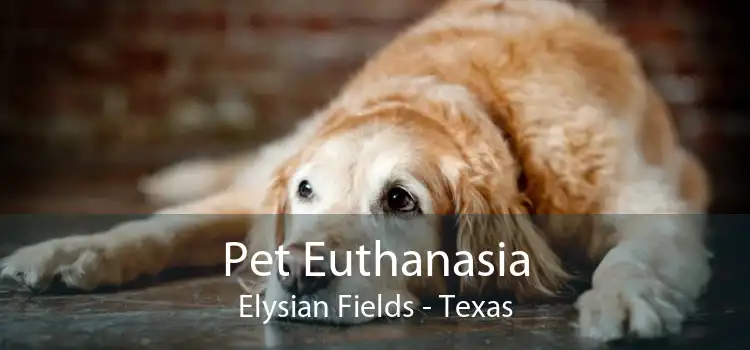 Pet Euthanasia Elysian Fields - Texas